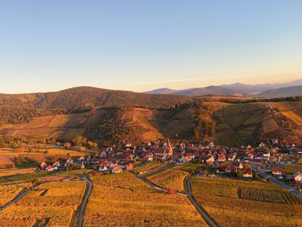Le Du Sommerberg Niedermorschwihr