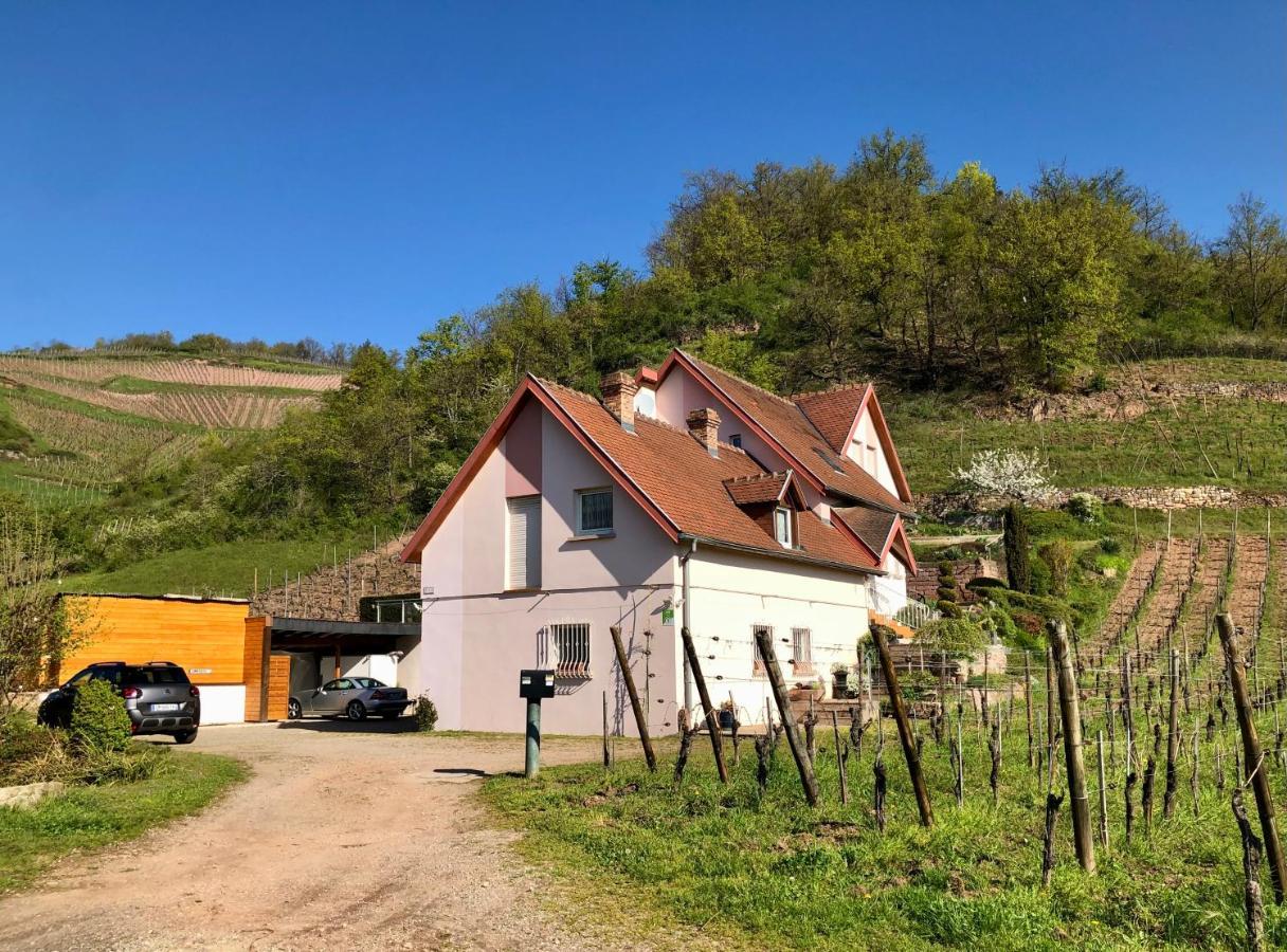 Le Du Sommerberg Niedermorschwihr